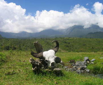 Mount Meru National Park