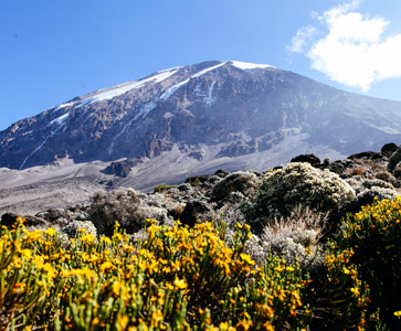 Kilimanjaro National Park
