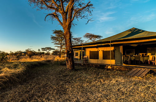 Serengeti Angata Camp