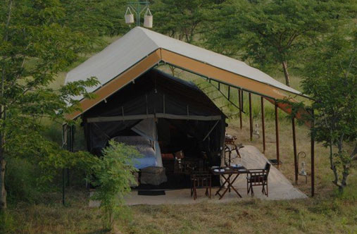 Serengeti Bush camps