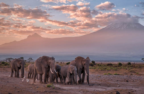 Kilimanjaro National Park Gallery