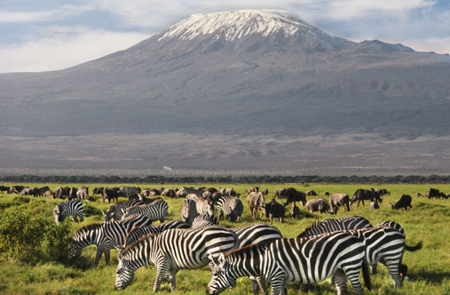Kilimanjaro National Park Gallery