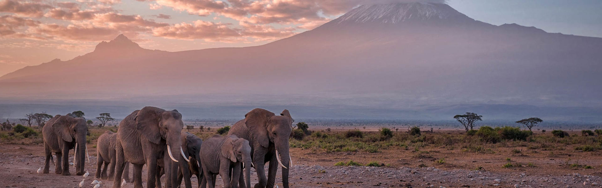 Kilimanjaro National Park Banner