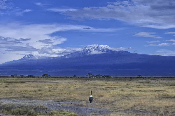 Weather at Kilimanjaro