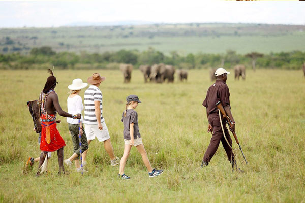Way to Africa Safari